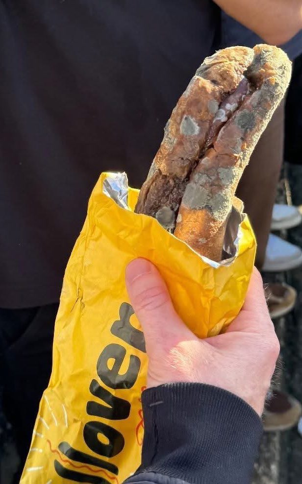 Gresley🦈🏴󠁧󠁢󠁳󠁣󠁴󠁿 tweet media