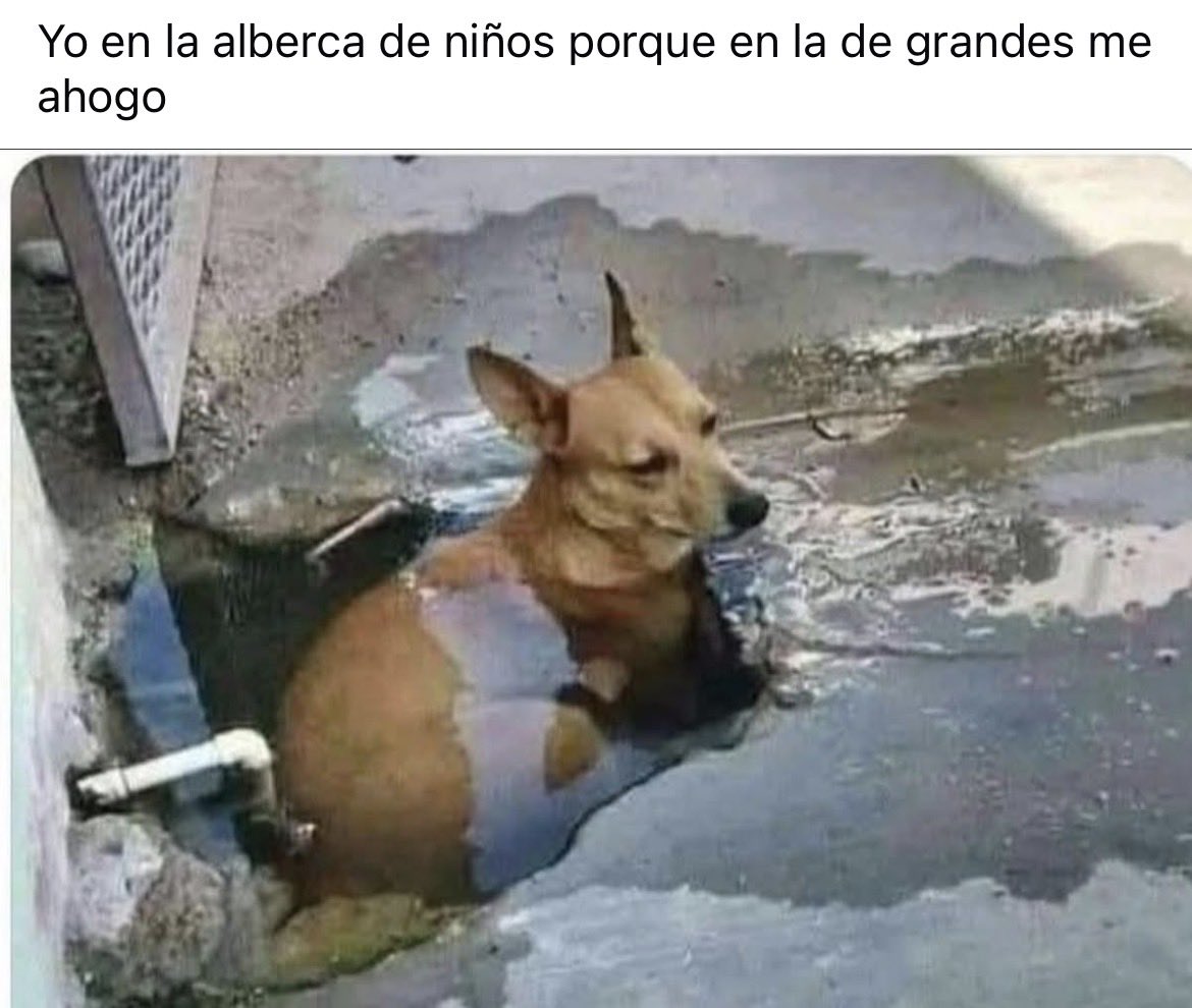 cesarin101's tweet photo. ¿Y qué tiene? https://t.co/naABTiDnui