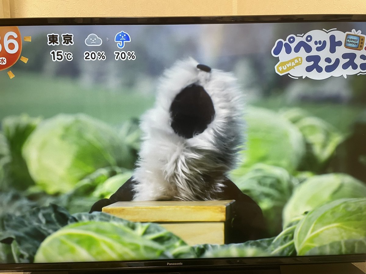 ひとぴー tweet media