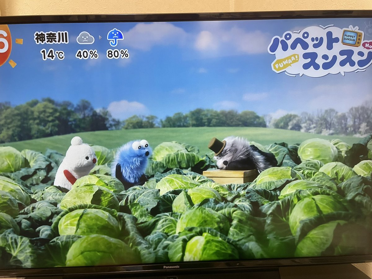 ひとぴー tweet media