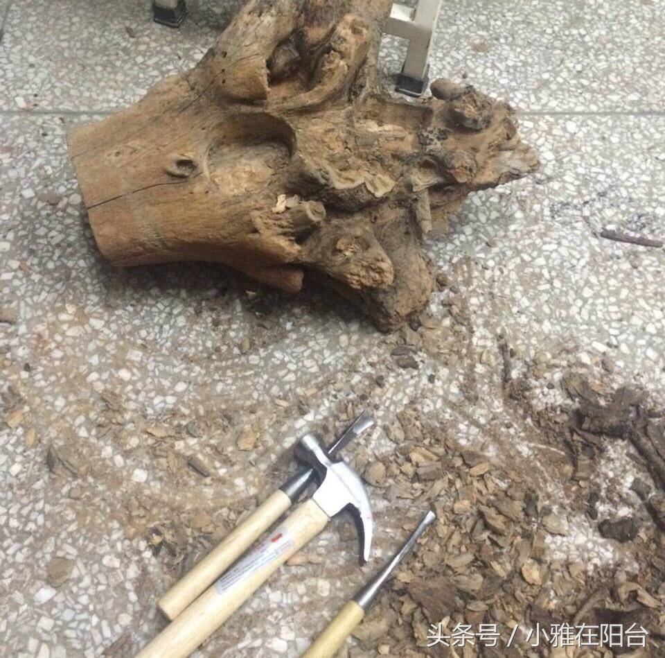 Rick White tweet media