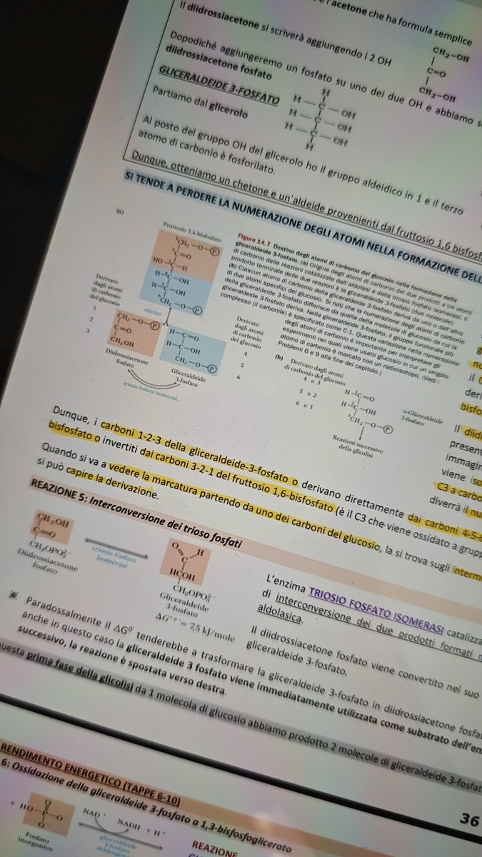 Gabry 🐧🩺🎶🔑 tweet media