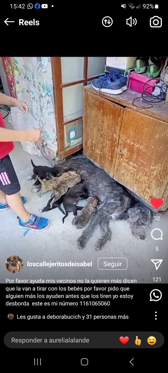 Como No Adorarlos tweet media