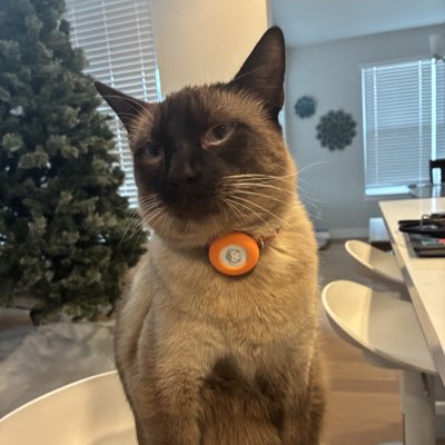 hey.mamalover tweet media