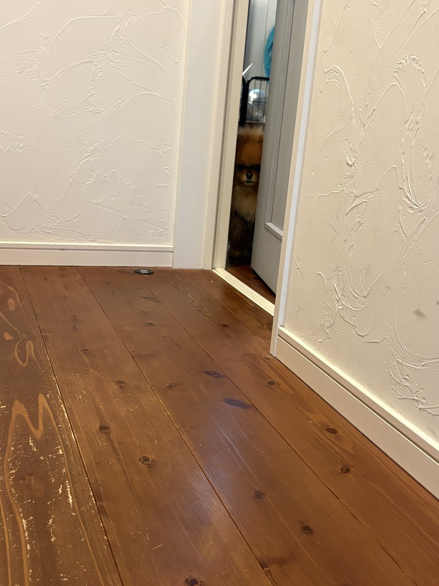 URI( ˊ̱˂˃ˋ̱ )🍊Level Ⅳ tweet media