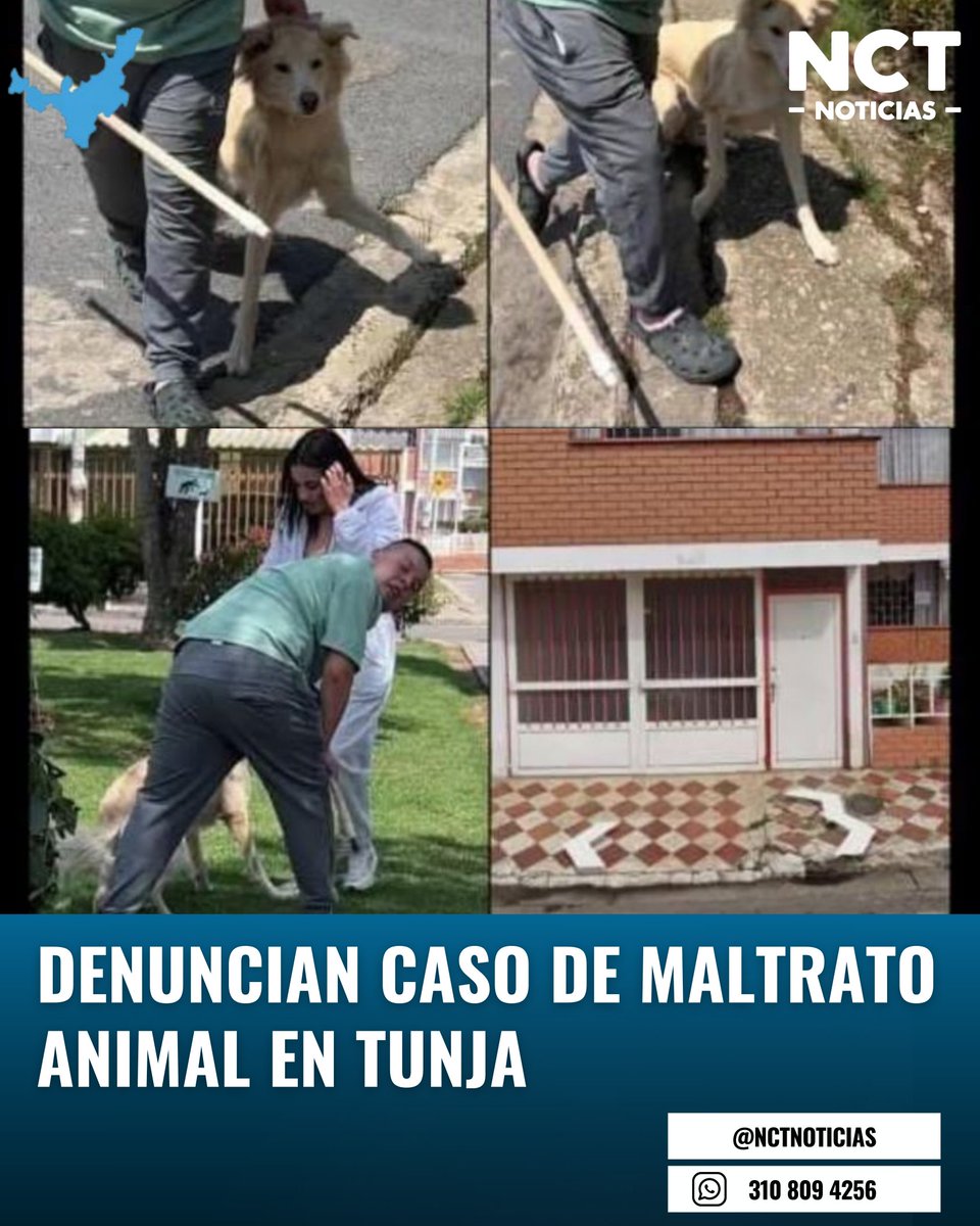 NCT NOTICIAS tweet media