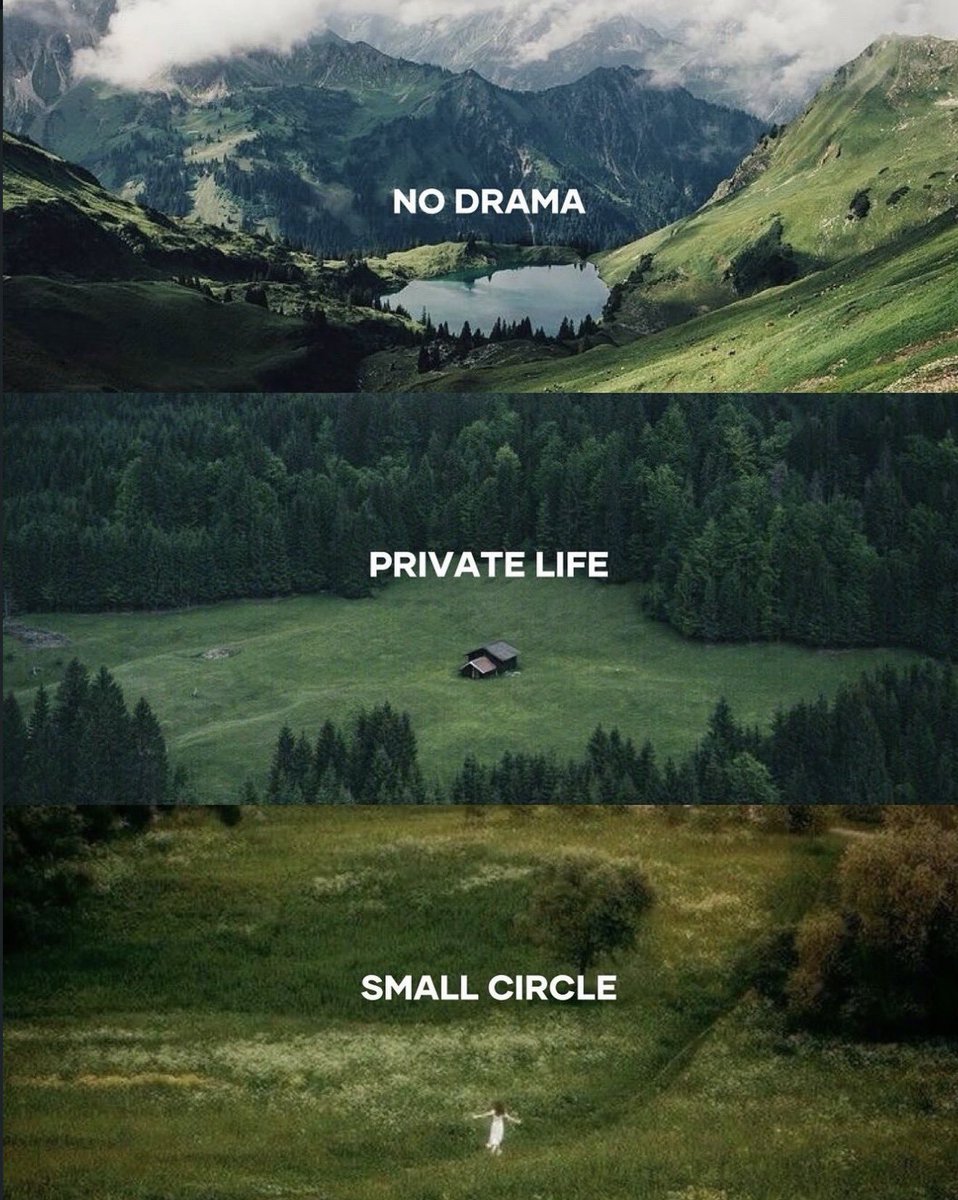 introvert tweet media