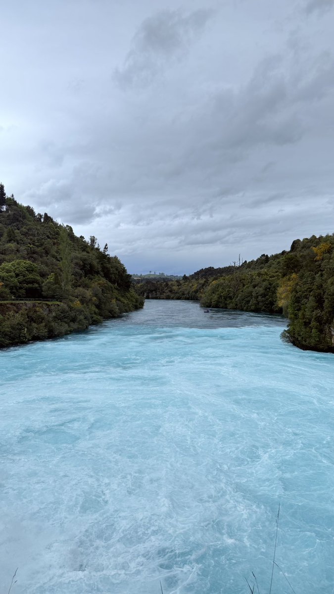 رايد العنزي 🇸🇦 tweet media