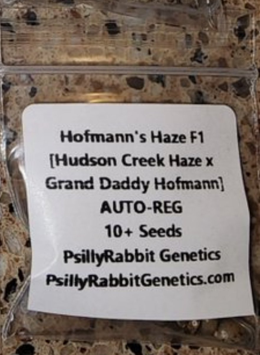 Robert Fox tweet media