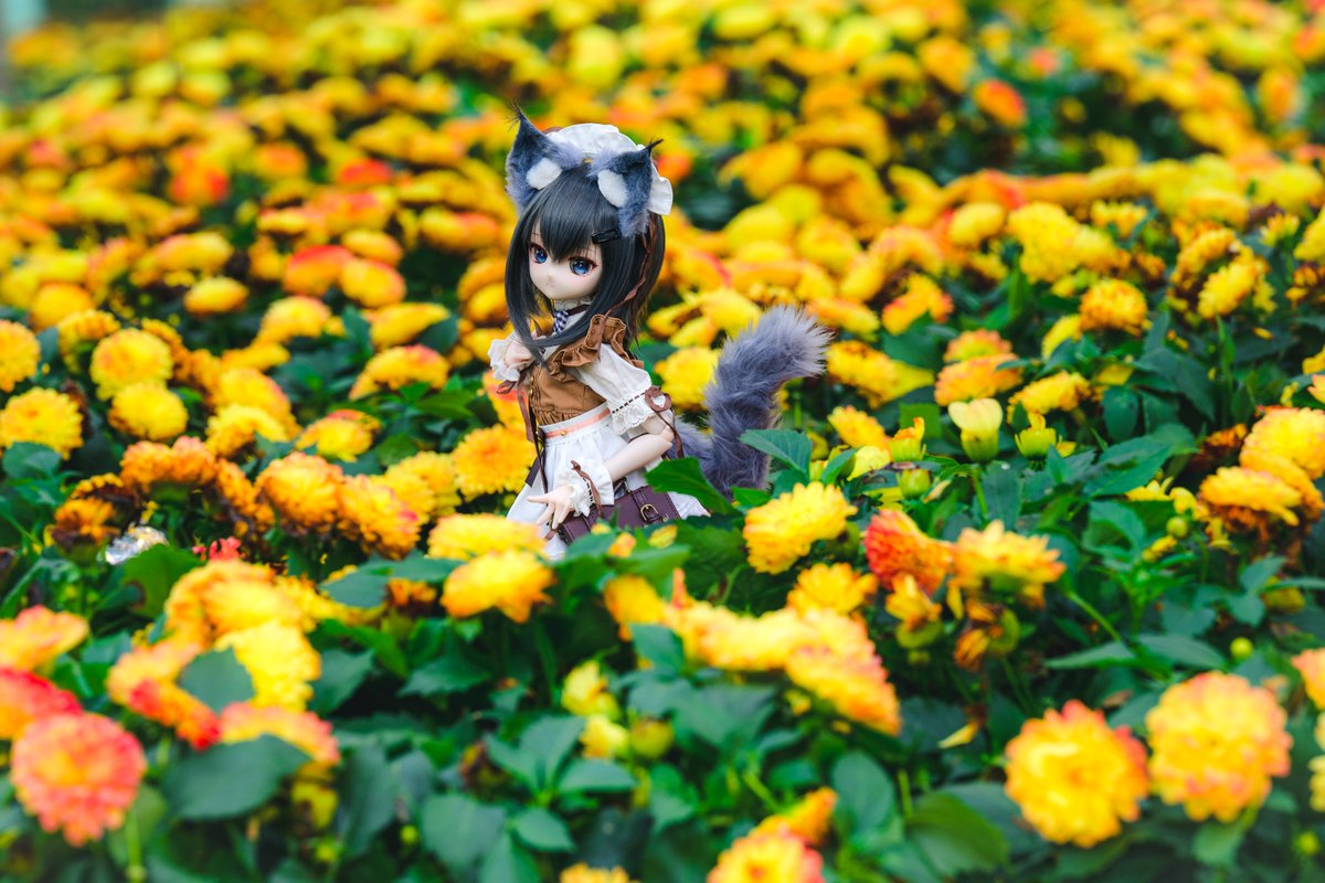 Billy Kwok tweet media