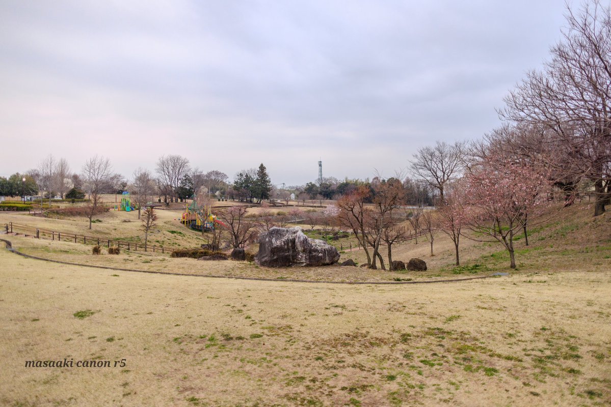 まさあき tweet media