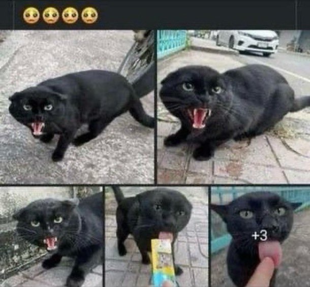 mononation 💐 tweet media