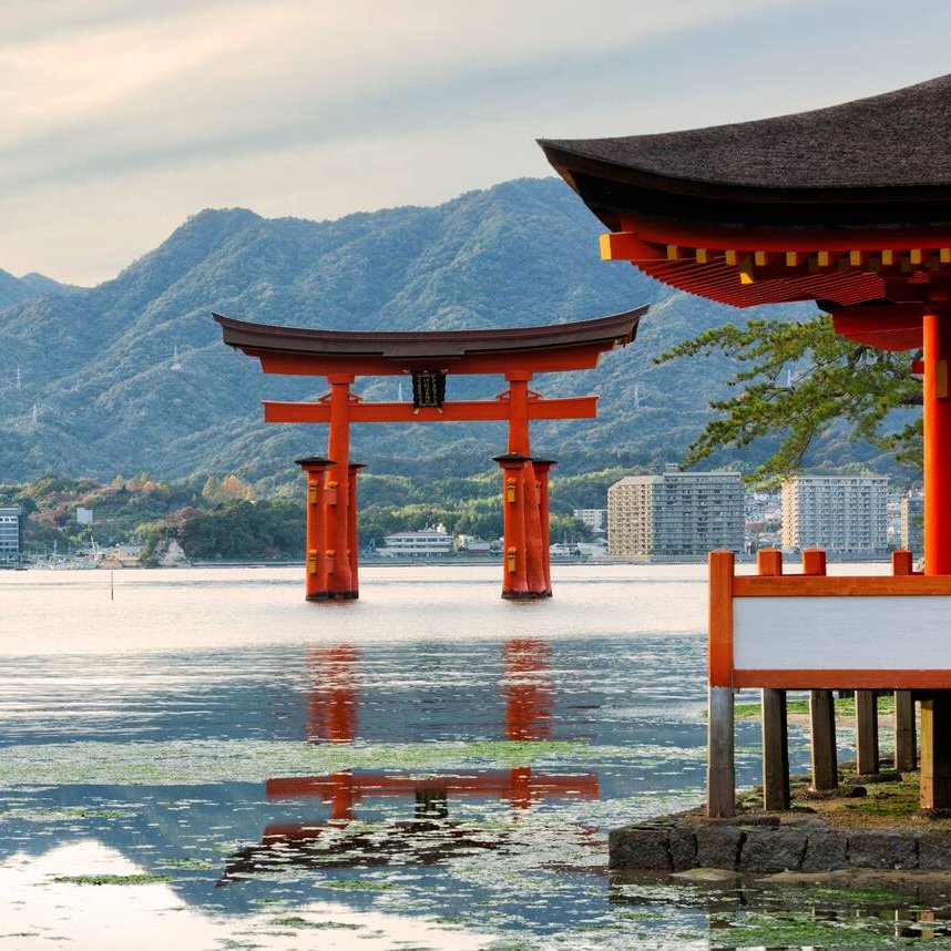 ExcelToursXal's tweet photo. Del neón de Tokio a la paz de los templos de Kioto 🇯🇵
Japón: El Camino del Samurái 🏯🎴 
12 días | Vuelo Directo desde CDMX | Sin Visa. 
¡Salidas disponibles todo el año!"

➡️ https://t.co/rCelV8aomt

#Viajes #Japon #Xalapa #Veracruz #Coatepec #Xltours https://t.co/gfy0CgrGVb