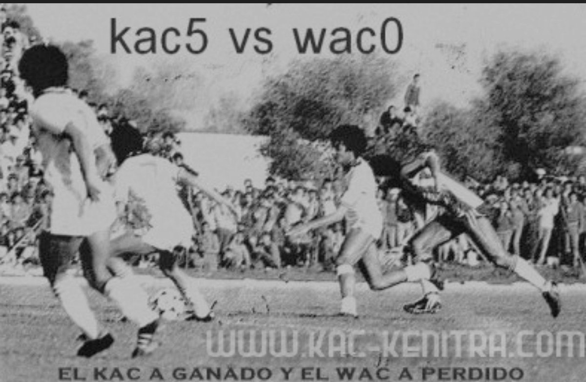 Le Constateur tweet media