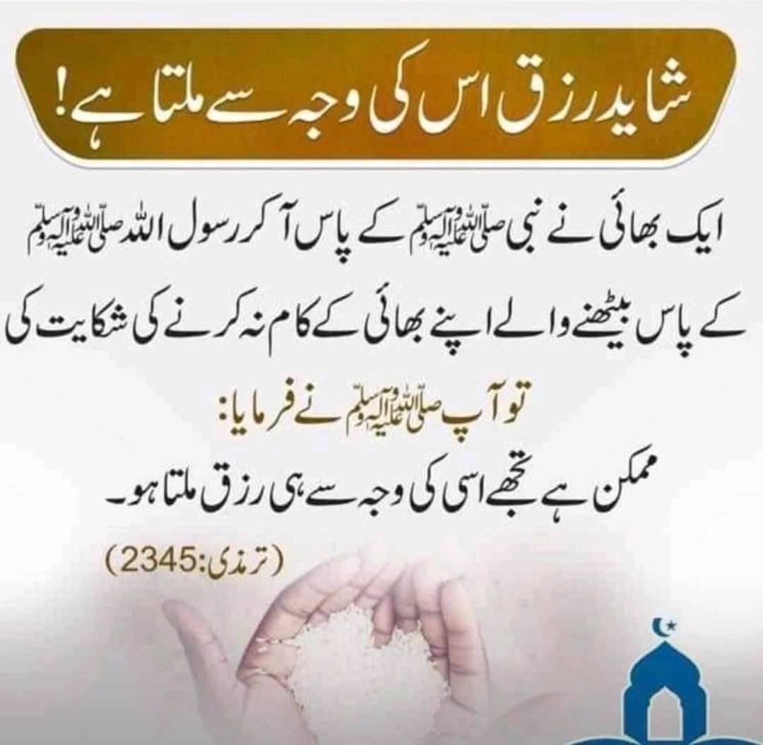 sea life 🧬 tweet media