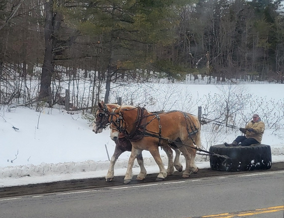 RobotPete of Selwyn! tweet media