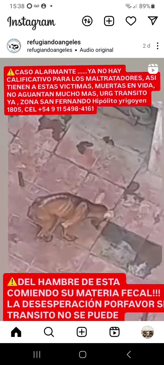 Como No Adorarlos tweet media