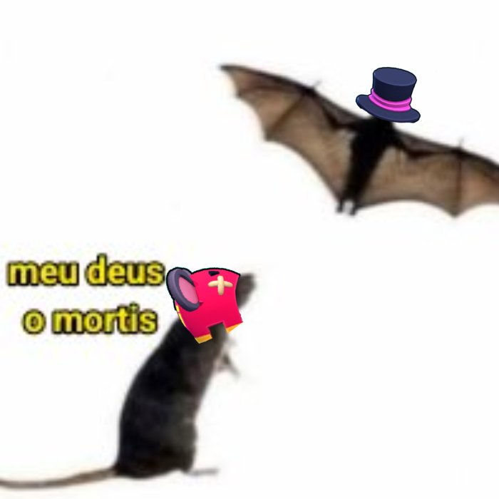 Acervo Jacky tweet media