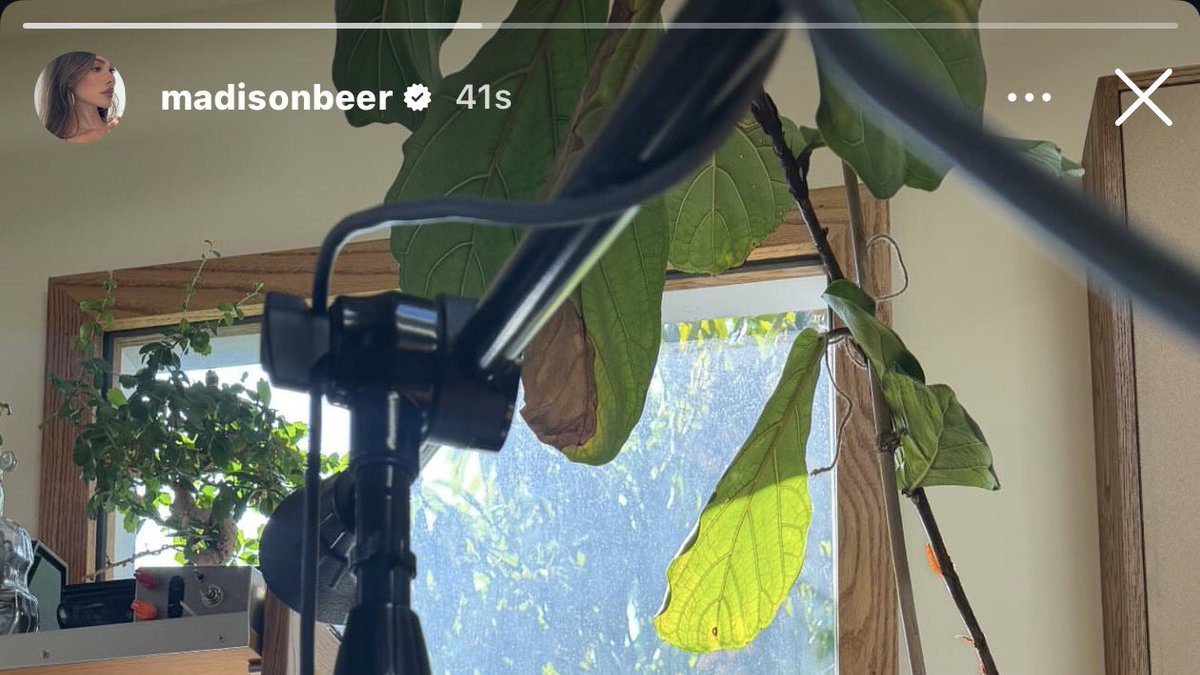 juju 🦌 tweet media