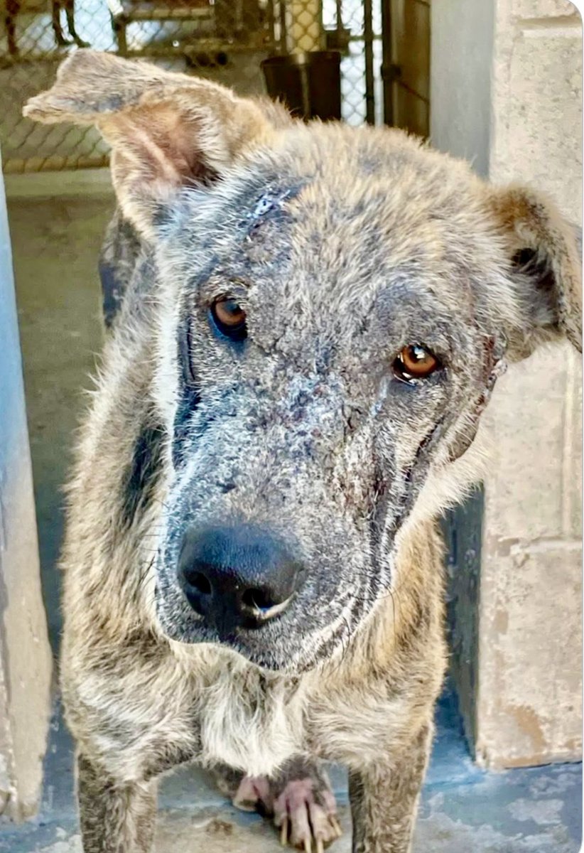 Cheryl Ramirez tweet media