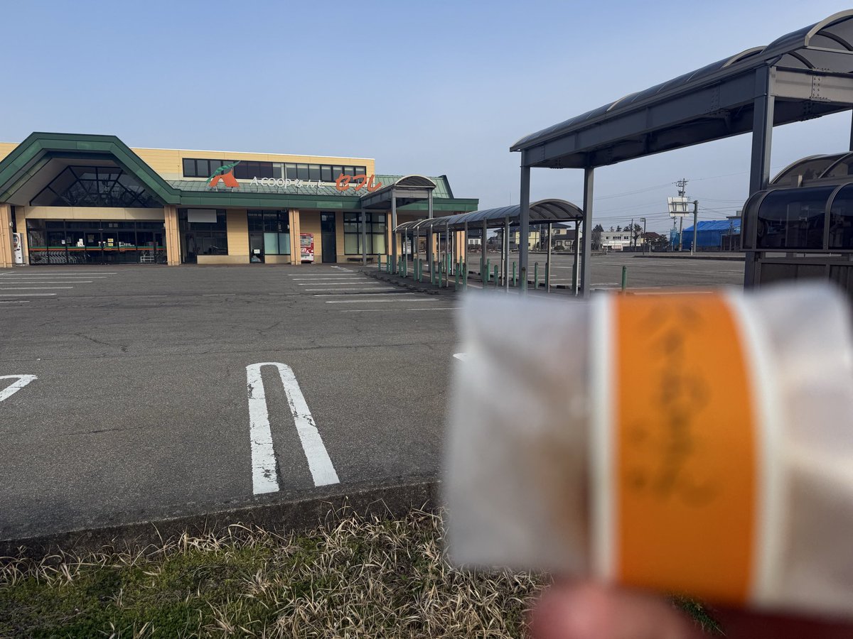 まきにゃんこ tweet media