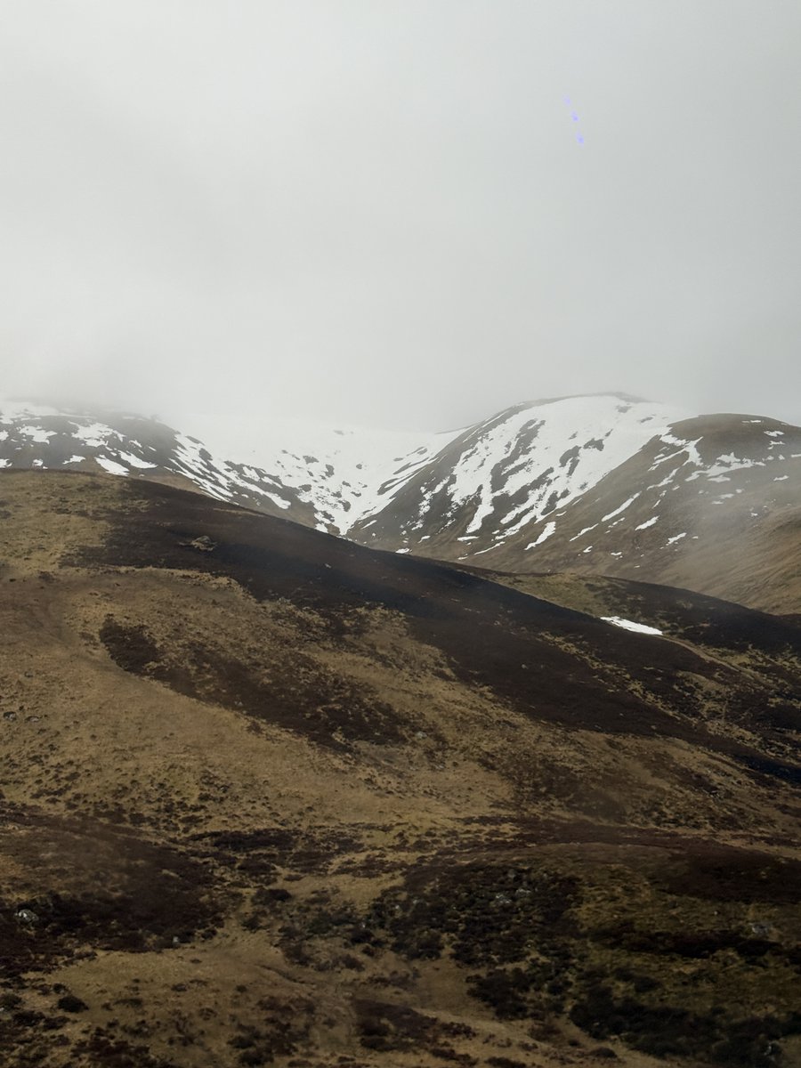 blairwithme's tweet photo. the @RideEmber to dundee is so pretty https://t.co/ZCoR8d2Jx4
