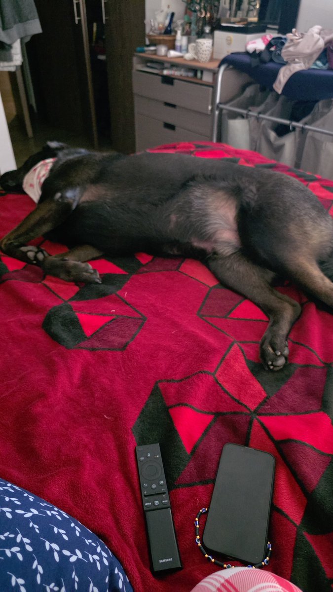 La mamá fifí #teamtdah tweet media