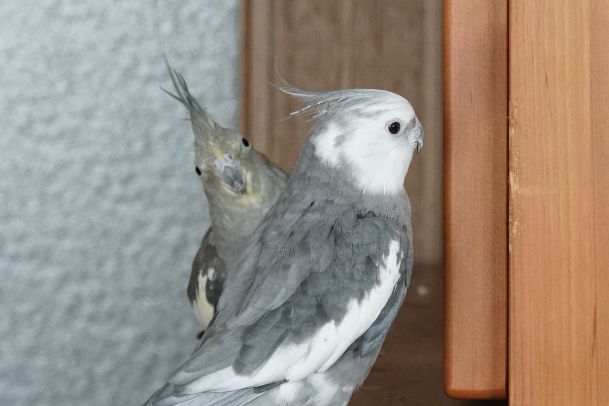 写真撮ってる？