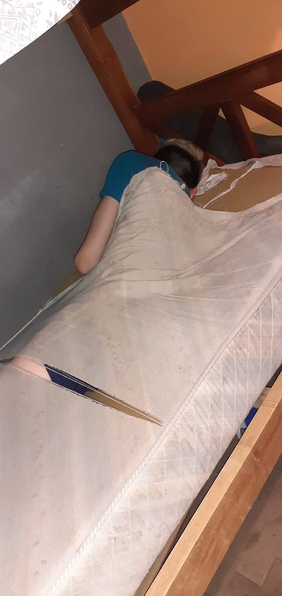 usuario de instagram tweet media