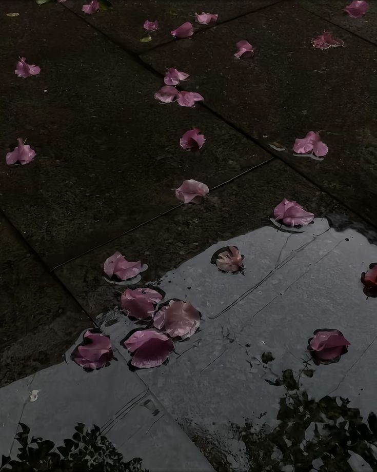 𝕰𝖑𝖊𝖒𝖒𝖎𝖗𝖊 tweet media