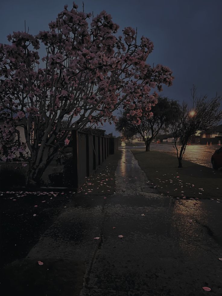 𝕰𝖑𝖊𝖒𝖒𝖎𝖗𝖊 tweet media