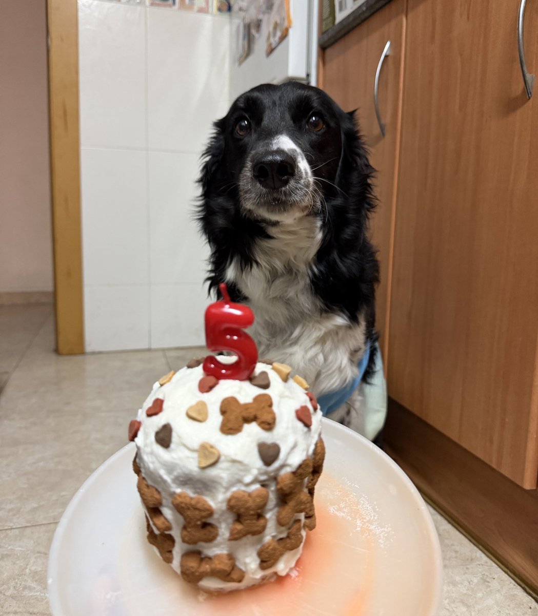 jess 📸 | 𝓈𝓌𝒶𝑔 tweet media