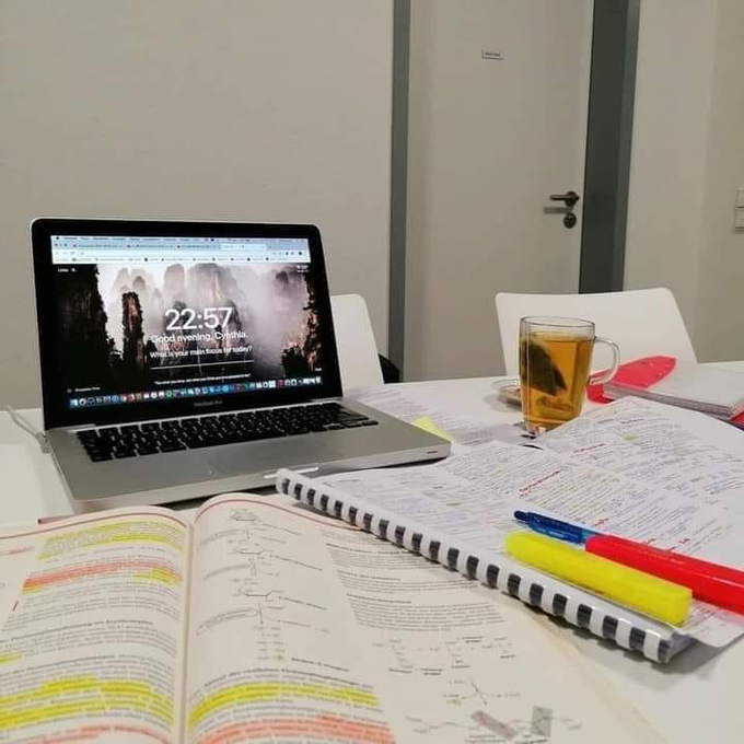 باحثة دكتوراه tweet media