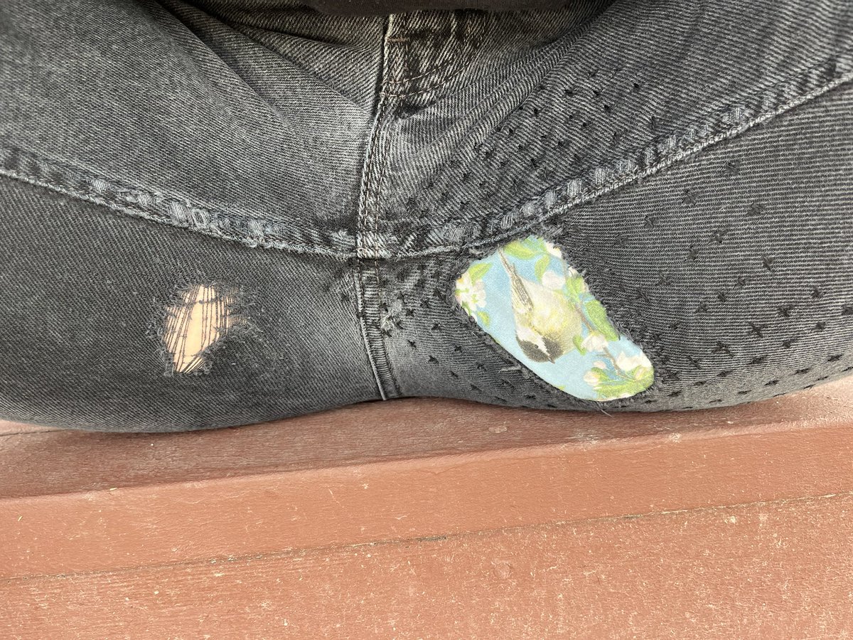 Sophianeⵣ is Team Hoary🦇🦇 tweet media