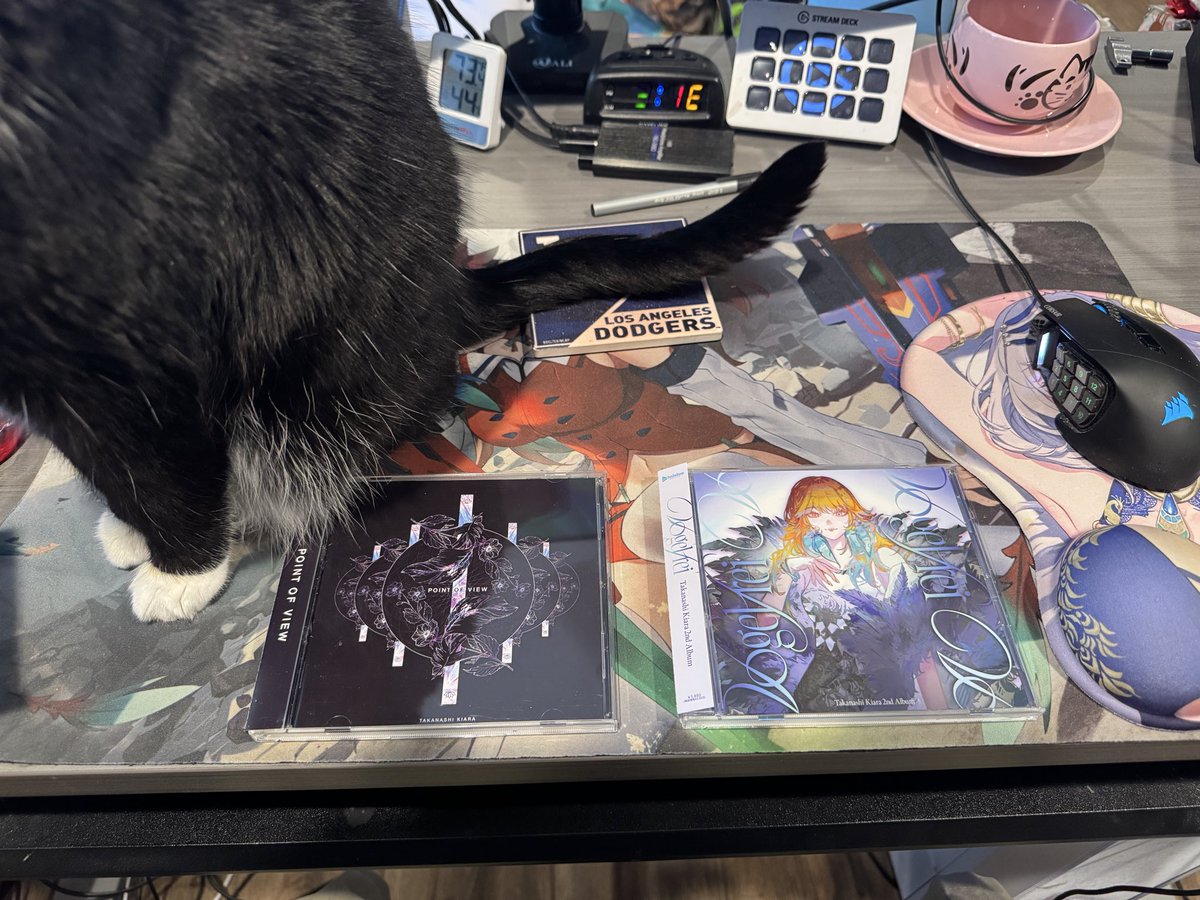 Ghosts Like Toast🐔🦚🌲 tweet media