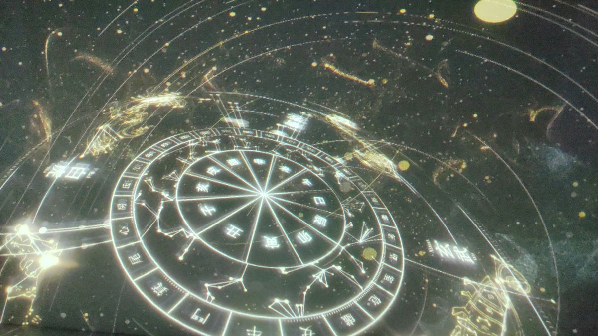 Veronika tweet media