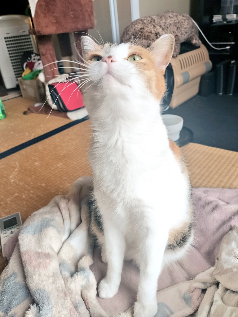 らら暮らし tweet media