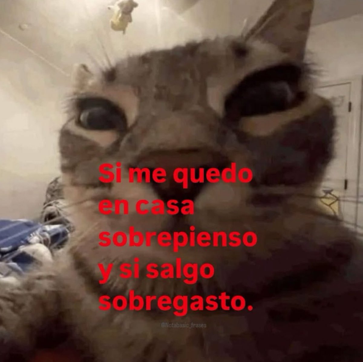 piña sin pizza tweet media