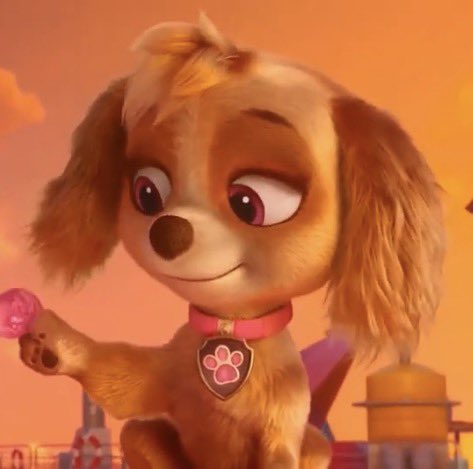 🐶Lee🐶 tweet media