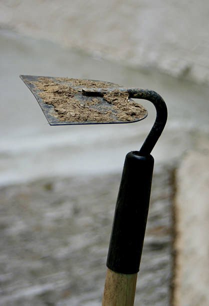 Jackson Wilberforce Wright III tweet media