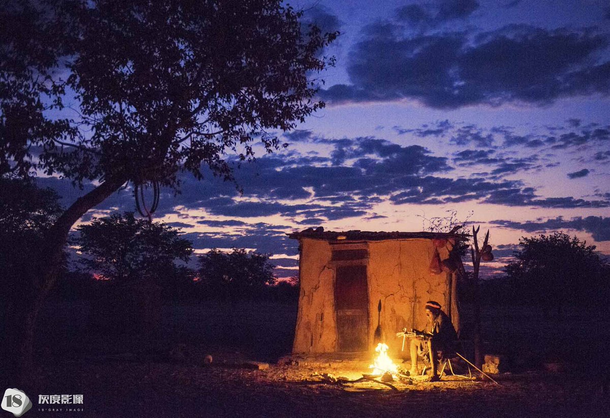 holly jeffords tweet media