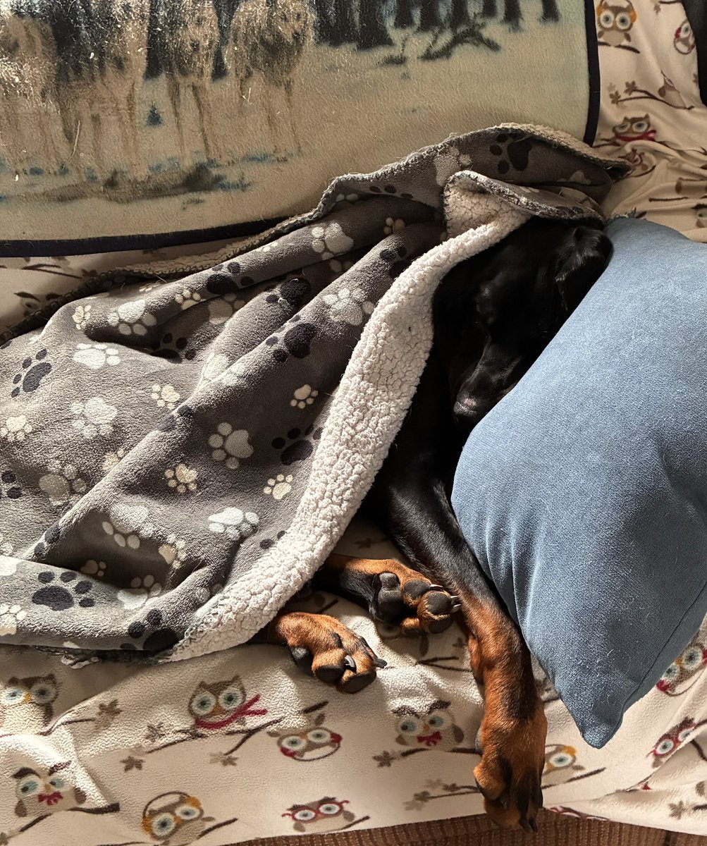 I wish I knew how to be this unbothered.