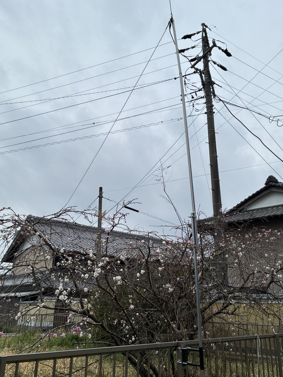 JS2QWH / GEN / ミエGH528 tweet media