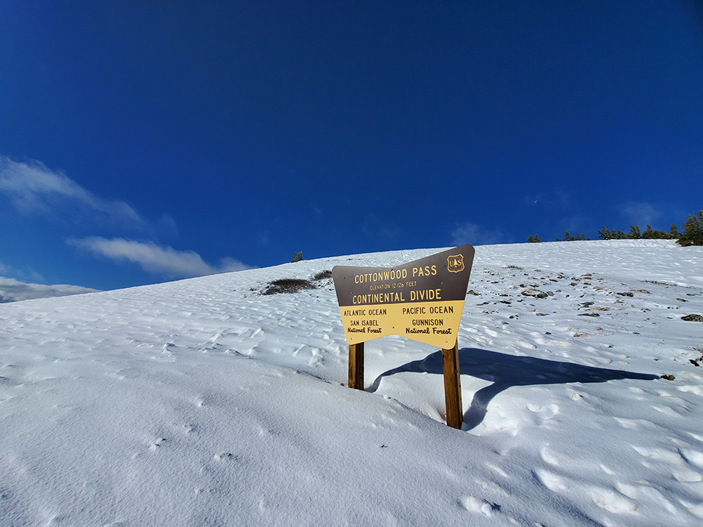 Saltwater on the Fly tweet media