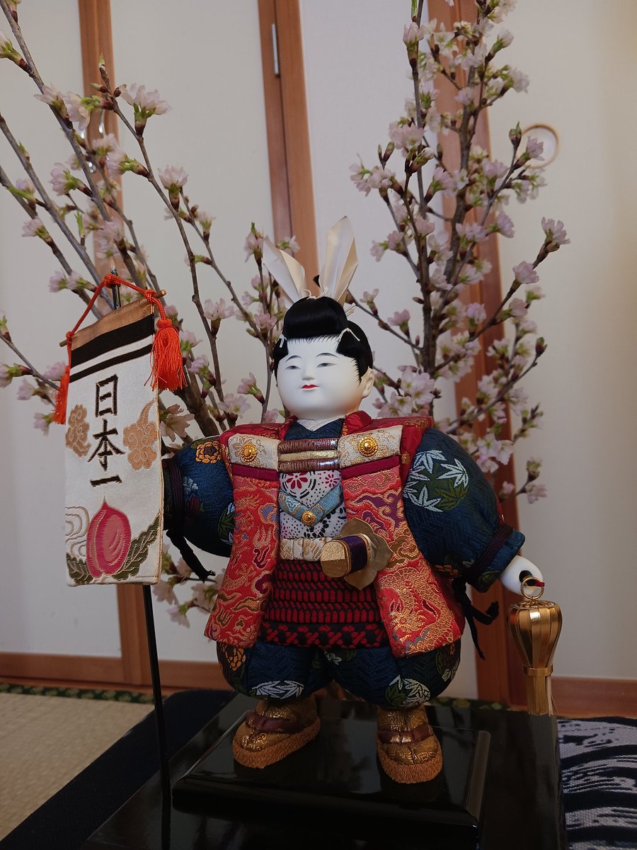 coco97403617's tweet photo. 幸太郎くんの
桃太郎さん今年も登場です https://t.co/rgrW9kd89A