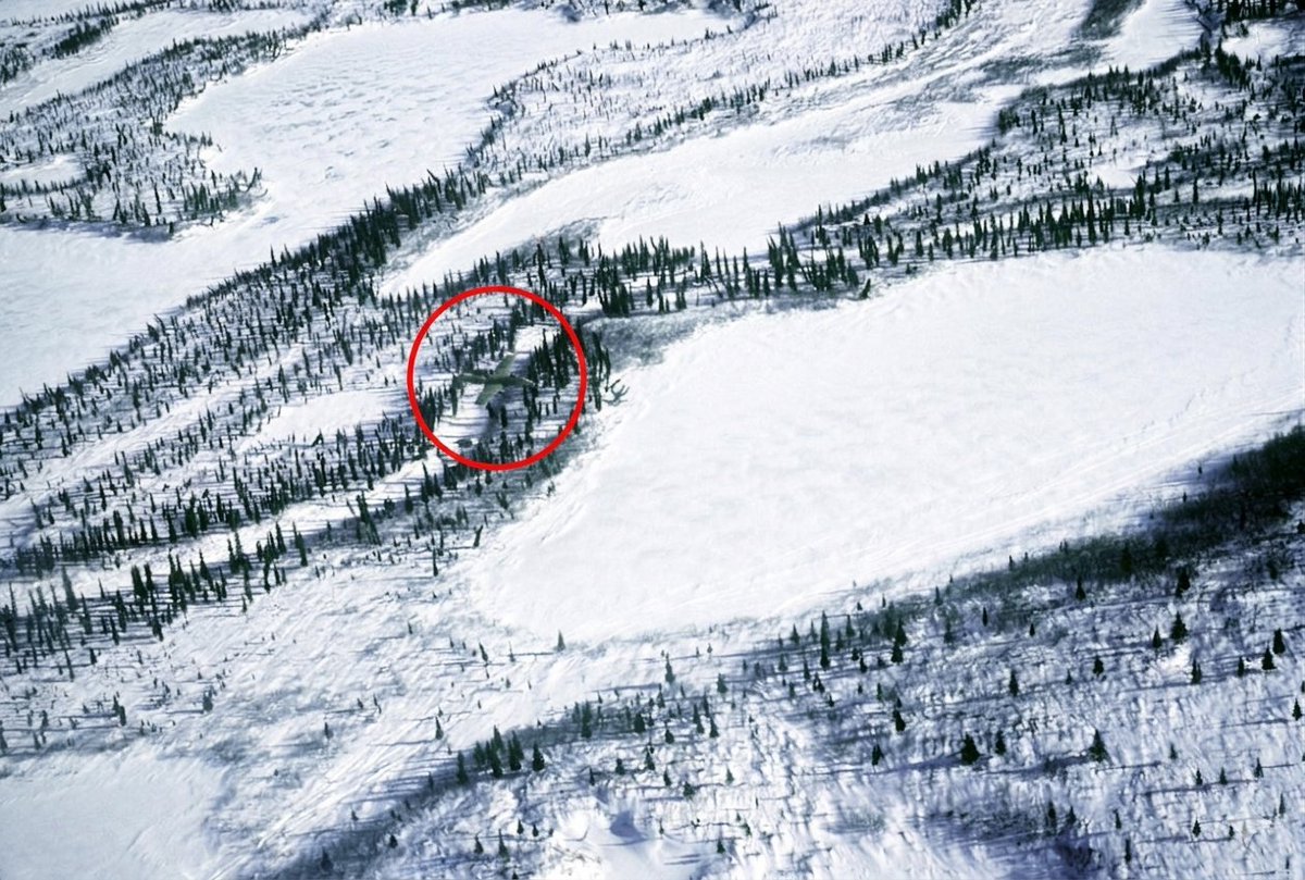 Starship Optimist tweet media