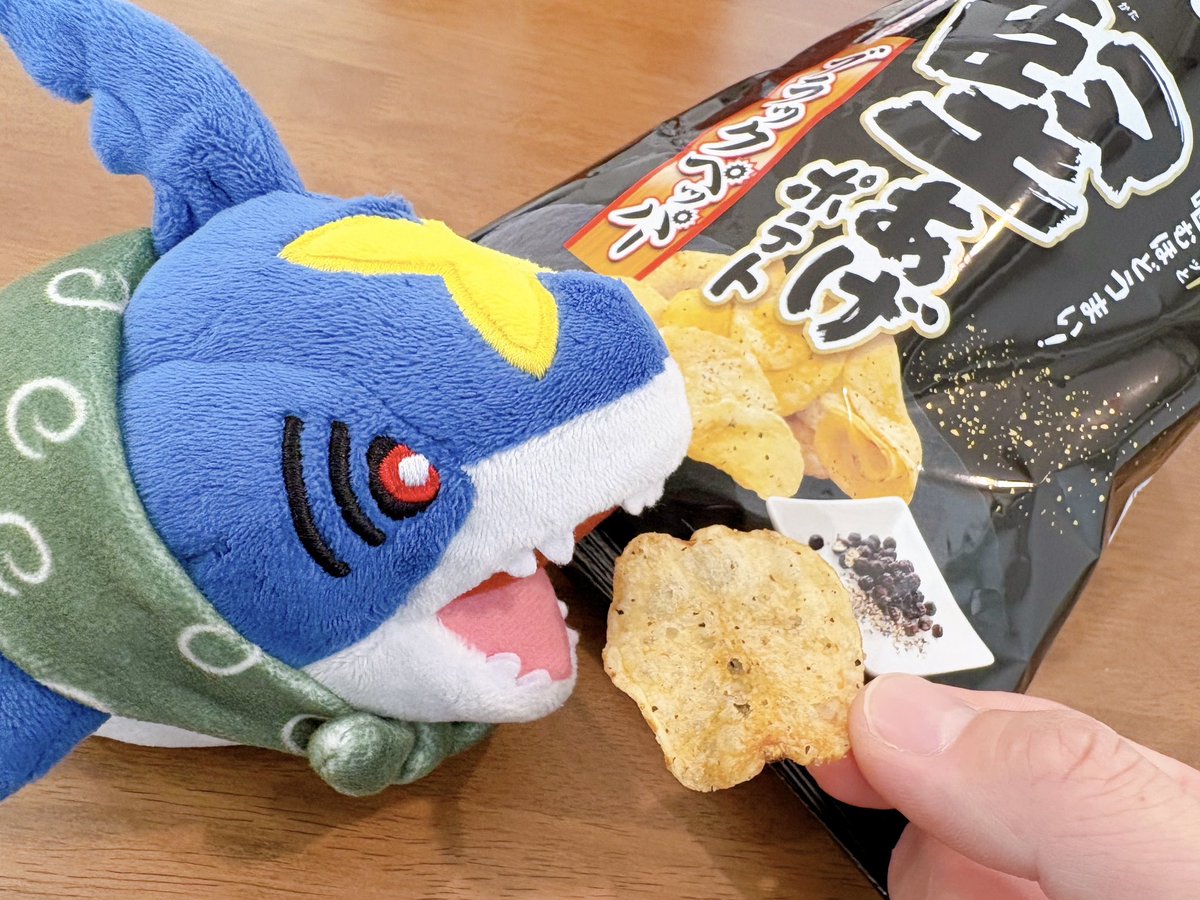 おでかけサメハダー🦈 tweet media