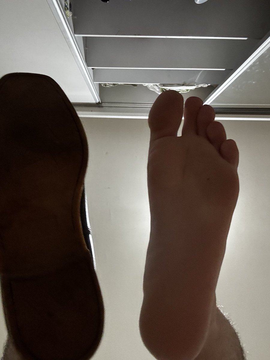 Findom Bittencourt tweet media