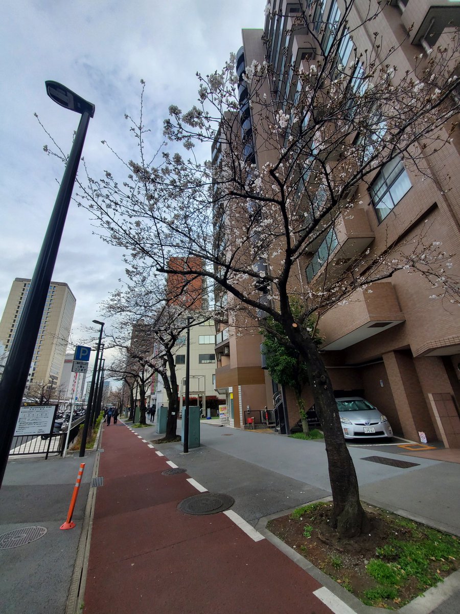 自然探索部@4/12 SB tweet media