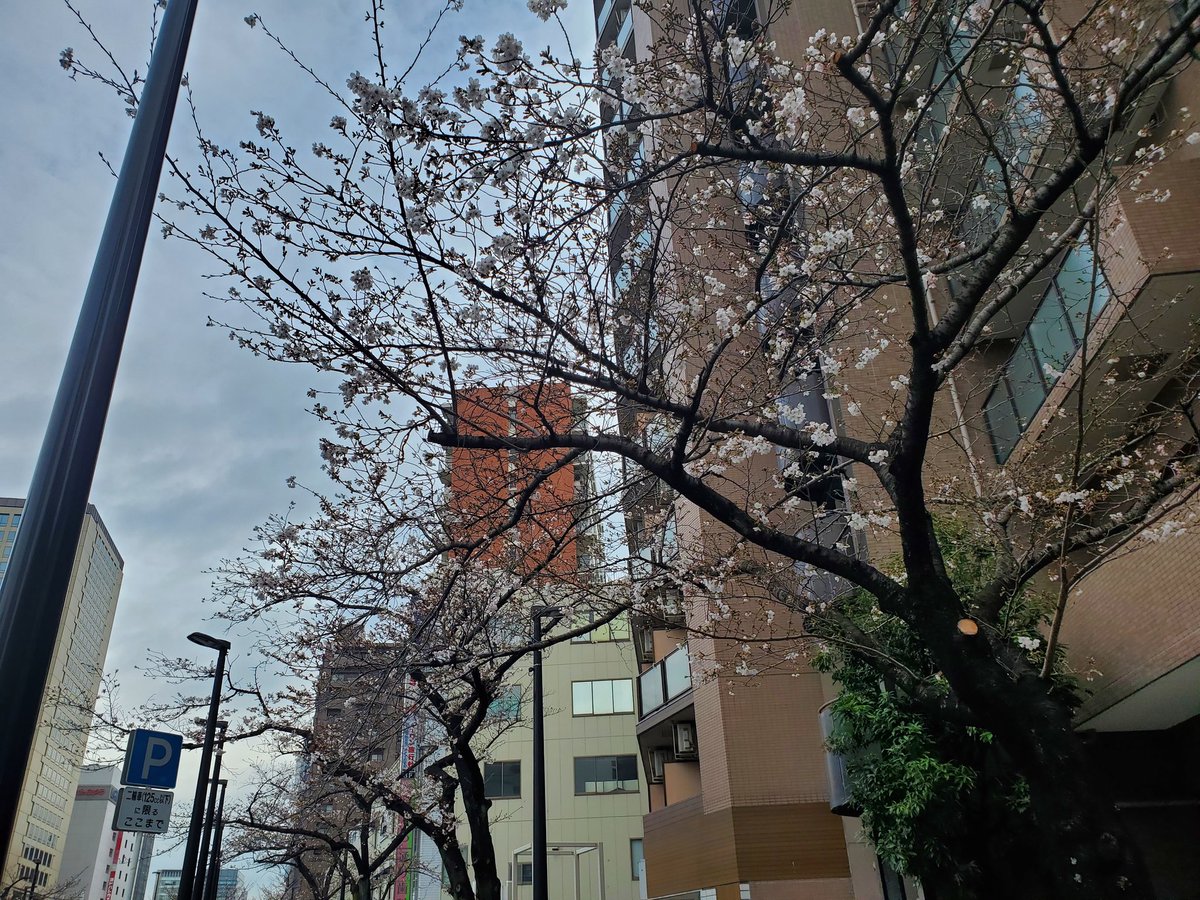 自然探索部@4/12 SB tweet media